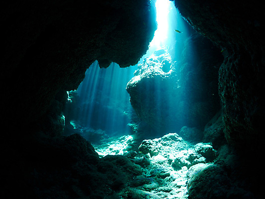 포토 JPG 주간 동물 한마리 바다 자연 어류 사람없음 야외 수중 수중동물 수중동굴 수중사진 국내포토 자연요소 1 동굴 생태계 파일형식