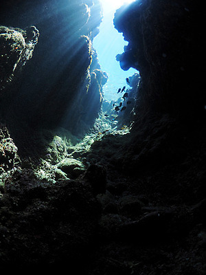 포토 JPG 주간 동물 바다 여러마리 자연 어류 사람없음 야외 수중 수중동물 열대어 수중동굴 수중사진 국내포토 자연요소 다수 동굴 생태계 파일형식