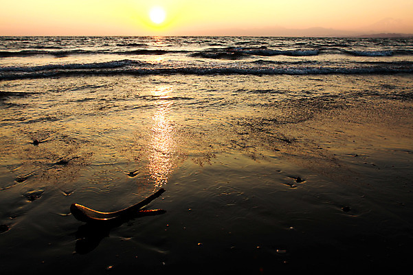 포토 JPG 주간 바다 자연 풍경 해변 사람없음 야외 태양 노을 수면 국내포토 자연요소 물 생태계 파일형식