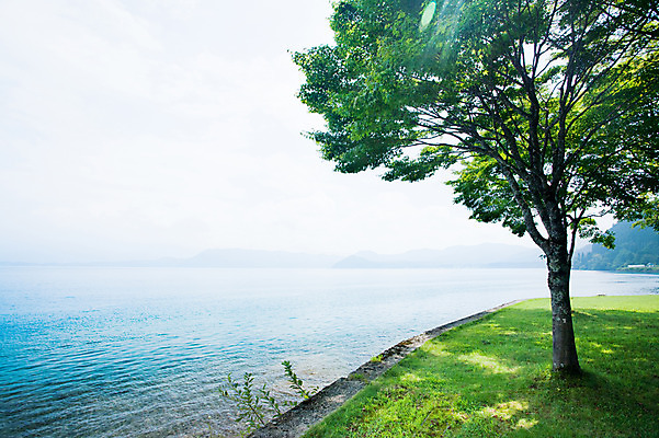 포토 JPG 주간 나무 식물 자연 사람없음 야외 파란색 강 나뭇가지 국내포토 자연요소 컬러 생태계 파일형식