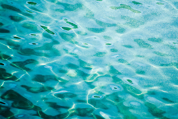 포토 JPG 주간 자연 사람없음 야외 물 수면 국내포토 자연요소 생태계 파일형식