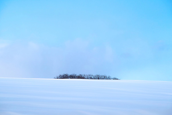 포토 JPG 주간 계절 겨울 자연 하늘 풍경 사람없음 야외 설원 눈 국내포토 자연요소 날씨 눈_날씨 생태계 파일형식