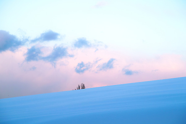 포토 JPG 주간 구름 계절 겨울 자연 하늘 풍경 사람없음 야외 설원 눈 국내포토 자연요소 날씨 눈_날씨 생태계 파일형식