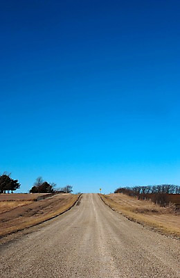 포토 JPG 주간 나무 식물 도로 길 자연 하늘 풍경 사람없음 야외 일본 국내포토 자연요소 아시아 교통시설 생태계 파일형식