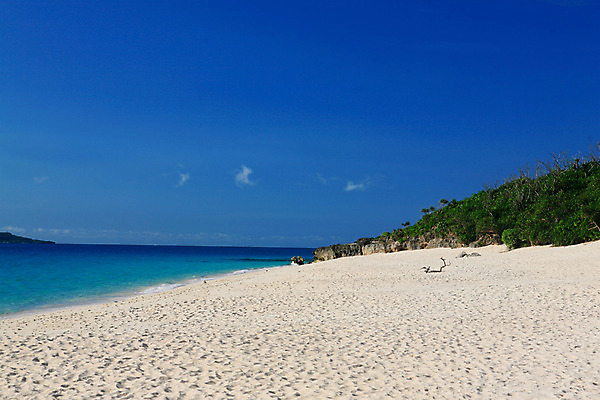 포토 JPG 주간 모래 바다 자연 하늘 풍경 해변 사람없음 야외 모래사장 국내포토 자연요소 생태계 파일형식