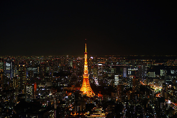 포토 JPG 해외풍경 해외 야경 사람없음 야외 건물 도시풍경 일본 도시 도쿄 도쿄타워 국내포토 건축물 아시아 풍경 야간 파일형식 풍경_경치