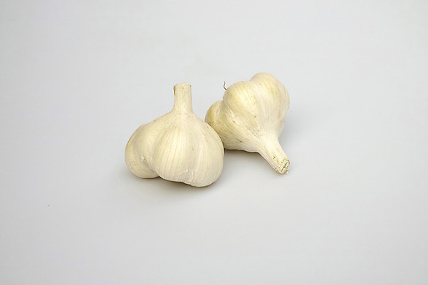 포토 JPG 채소 식재료 실내 마늘 사람없음 두개 국내포토 2 내부 파일형식