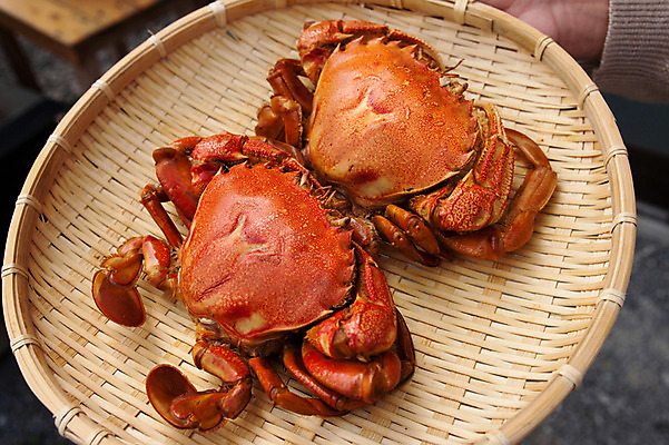 포토 JPG 두마리 식재료 실내 사람없음 바구니 게 해산물 채반 국내포토 그릇 2 갑각류 내부 파일형식