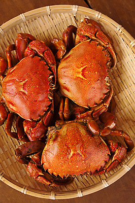 포토 JPG 식재료 실내 세마리 사람없음 바구니 게 해산물 국내포토 3 갑각류 내부 파일형식