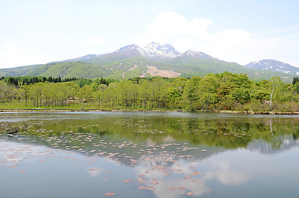 포토 JPG 주간 나무 식물 구름 호수 잎 자연 하늘 산 풍경 사람없음 야외 강 국내포토 자연요소 생태계 파일형식