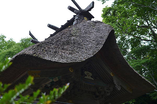 포토 JPG 주간 나무 식물 해외풍경 해외 건축물 고건축 지붕 풍경 사람없음 야외 일본 일본건축 국내포토 자연요소 건축 아시아 동양건축 파일형식