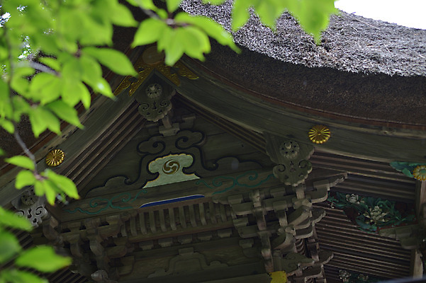 포토 JPG 주간 식물 해외풍경 해외 건축물 고건축 지붕 나뭇잎 풍경 사람없음 야외 일본 일본건축 국내포토 자연요소 건축 아시아 잎 동양건축 파일형식