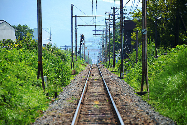 포토 JPG 주간 식물 해외풍경 해외 자연 하늘 풍경 사람없음 야외 일본 기찻길 철도의날 국내포토 자연요소 아시아 생태계 파일형식 법정기념일