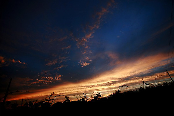 포토 JPG 주간 구름 하늘 사람없음 야외 노을 풀 국내포토 자연요소 식물 파일형식