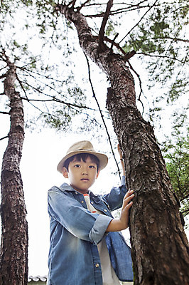 포토 JPG 주간 나무 식물 모자 남자 어린이 로우앵글 한명 사람 동양인 소년 상반신 야외 캐주얼 유치원생 한국인 남자만 남자한명만 어린이만 소년만 소년한명만 국내포토 자연요소 1 잡화 옷 뷰포인트 인종 파일형식