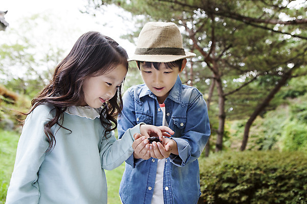 포토 JPG 주간 나무 식물 여자 남자 어린이 곤충 들기 사람 동양인 소녀 소년 상반신 야외 두명 앞모습 옆모습 아웃포커스 유치원생 한국인 관찰 체험학습 어린이만 국내포토 자연요소 동물 뷰포인트 모션 촬영기법 인종 체험 파일형식