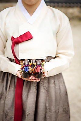 포토 JPG 전통 여자 전통소품 한명 들기 사람 상반신 앞모습 아웃포커스 치마 한복 원앙 오브젝트 저고리 고름 여자만 여자한명만 국내포토 1 한국전통 뷰포인트 모션 조류 하의 촬영기법 전통의상 파일형식