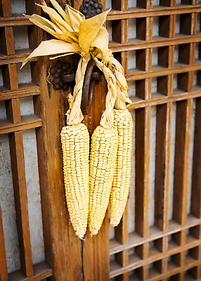 포토 JPG 전통 전통소품 옥수수 사람없음 문 오브젝트 창호문 국내포토 곡류 파일형식