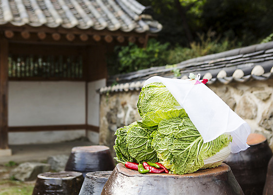 포토 JPG 주간 전통 식재료 고추 사람없음 야외 아웃포커스 항아리 배추 김장 김장재료 국내포토 자연요소 채소 촬영기법 도자기 파일형식