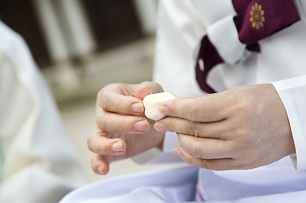 포토 JPG 한국문화 손 여자 전통문화 한명 사람 동양인 성인 아웃포커스 신체부위 한국인 한복 송편 송편빚기 성인만 국내포토 1 동양문화 한국전통 전통 문화 떡 한국 촬영기법 인종 추석 전통의상 요리중 파일형식