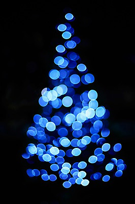 포토 JPG 나무 백그라운드 조명 사람없음 빛 소프트포커스 신비 보케 흐림 국내포토 식물 컨셉 날씨 촬영기법 파일형식