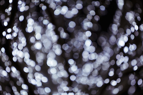 포토 JPG 백그라운드 조명 사람없음 빛 소프트포커스 신비 보케 흐림 국내포토 컨셉 날씨 촬영기법 파일형식