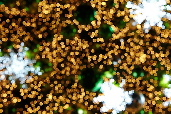 포토 JPG 배경화면 백그라운드 조명 사람없음 빛 소프트포커스 신비 보케 흐림 국내포토 컨셉 날씨 촬영기법 파일형식