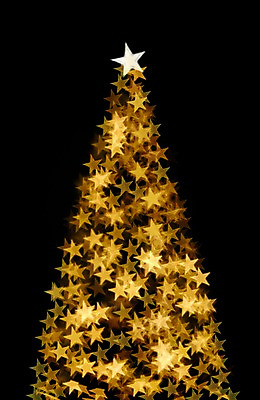 포토 JPG 별 백그라운드 조명 사람없음 빛 크리스마스트리 소프트포커스 신비 보케 흐림 국내포토 자연요소 컨셉 크리스마스 날씨 촬영기법 파일형식