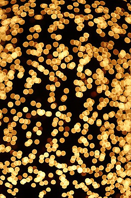 포토 JPG 백그라운드 조명 사람없음 빛 소프트포커스 신비 보케 흐림 국내포토 컨셉 날씨 촬영기법 파일형식