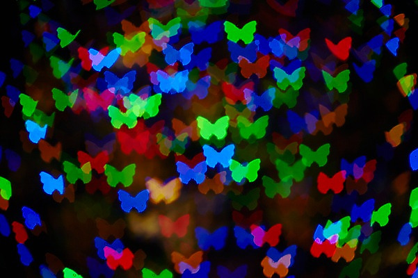 포토 JPG 배경화면 나비 백그라운드 조명 사람없음 빛 소프트포커스 신비 보케 흐림 국내포토 곤충 컨셉 날씨 촬영기법 파일형식