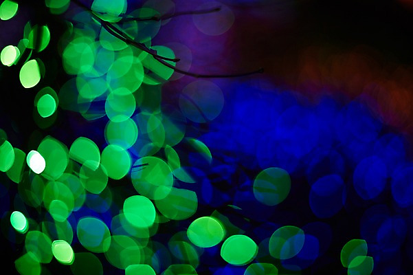 포토 JPG 백그라운드 조명 사람없음 빛 소프트포커스 신비 보케 흐림 국내포토 컨셉 날씨 촬영기법 파일형식