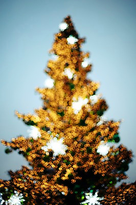 포토 JPG 나무 백그라운드 조명 사람없음 빛 소프트포커스 신비 보케 흐림 국내포토 식물 컨셉 날씨 촬영기법 파일형식