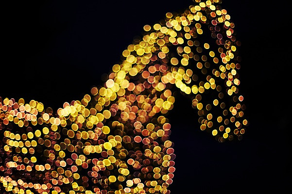 포토 JPG 백그라운드 조명 사람없음 빛 말_동물 소프트포커스 신비 보케 흐림 국내포토 컨셉 포유류 날씨 촬영기법 파일형식