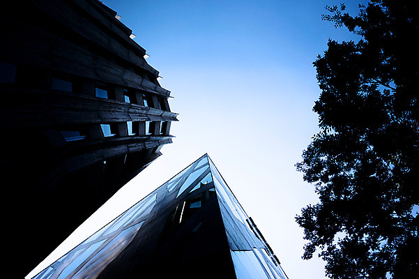 포토 JPG 주간 나무 로우앵글 하늘 사람없음 야외 건물 일본 도시 하라주쿠 국내포토 자연요소 식물 건축물 아시아 뷰포인트 도쿄 파일형식