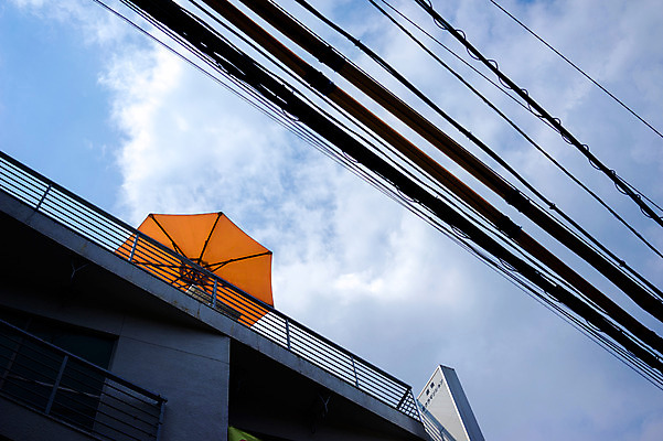 포토 JPG 주간 구름 해외풍경 해외 로우앵글 하늘 풍경 사람없음 야외 건물 일본 전선 도시 파라솔 하라주쿠 국내포토 자연요소 건축물 아시아 뷰포인트 도쿄 파일형식