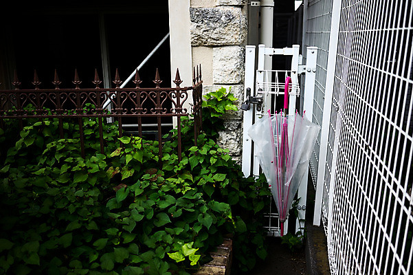 포토 JPG 주간 식물 해외풍경 해외 우산 사람없음 야외 일본 도시 도쿄 우산꽂이 철창 하라주쿠 국내포토 자연요소 아시아 풍경 꽂이 파일형식