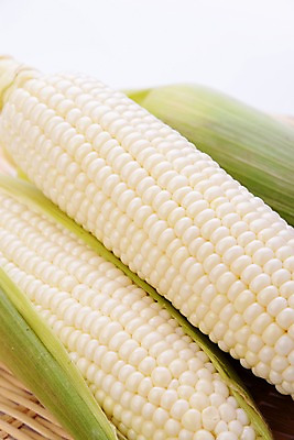 포토 JPG 채소 식재료 실내 옥수수 사람없음 두개 국내포토 2 곡류 내부 파일형식