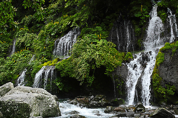 포토 JPG 주간 식물 자연 풍경 사람없음 야외 물 폭포 돌_바위 바위 국내포토 자연요소 생태계 파일형식