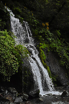 포토 JPG 주간 나무 식물 자연 풍경 사람없음 야외 물 폭포 돌_바위 바위 국내포토 자연요소 생태계 파일형식