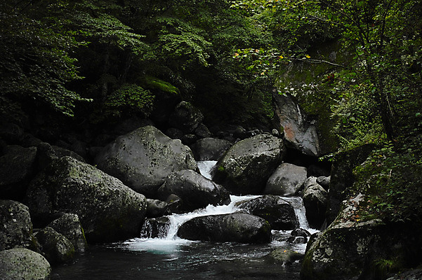 포토 JPG 주간 나무 식물 자연 풍경 사람없음 야외 물 폭포 돌_바위 바위 국내포토 자연요소 생태계 파일형식