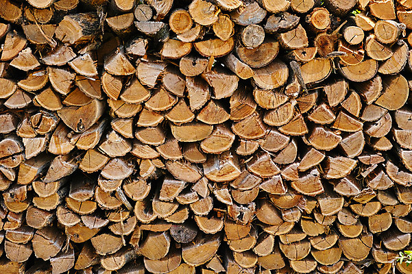 포토 JPG 주간 나무 식물 조각 자연 사람없음 야외 쌓기 장작 국내포토 자연요소 모션 생태계 파일형식