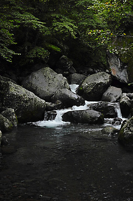 포토 JPG 주간 나무 식물 자연 풍경 사람없음 야외 물 폭포 돌_바위 바위 국내포토 자연요소 생태계 파일형식