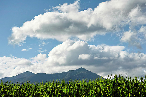 포토 JPG 주간 구름 하늘 산 사람없음 야외 풀 국내포토 자연요소 식물 파일형식