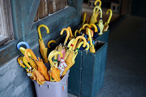 포토 JPG 주간 컬러 우산 사람없음 야외 노란색 여러개 우산꽂이 국내포토 자연요소 다수 꽂이 파일형식