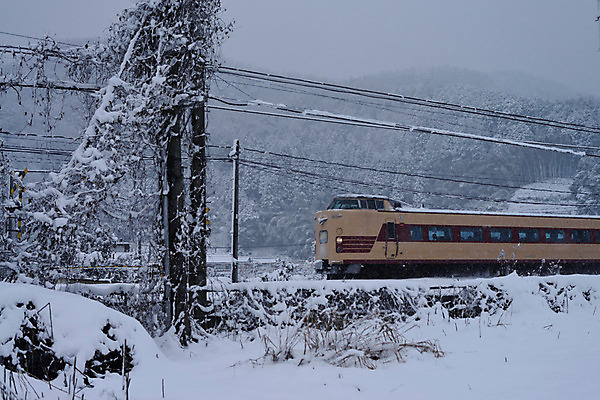 포토 JPG 주간 계절 육상교통 교통수단 겨울 자연 풍경 사람없음 야외 설원 기찻길 기차 눈 철도의날 국내포토 자연요소 교통 날씨 대중교통 눈_날씨 생태계 파일형식 법정기념일
