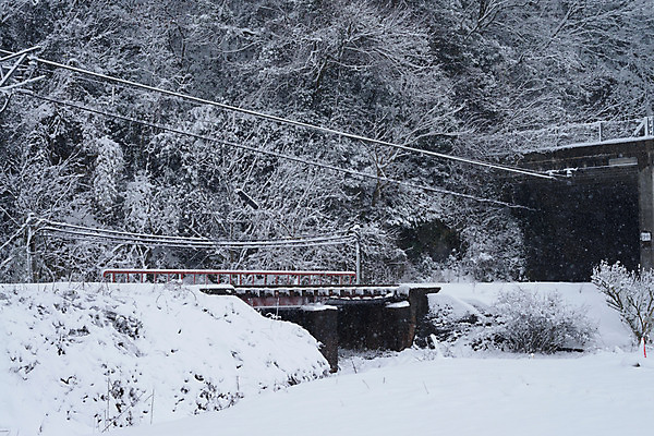 포토 JPG 주간 나무 식물 해외풍경 해외 계절 겨울 자연 풍경 사람없음 야외 일본 기찻길 눈 국내포토 자연요소 아시아 날씨 생태계 파일형식