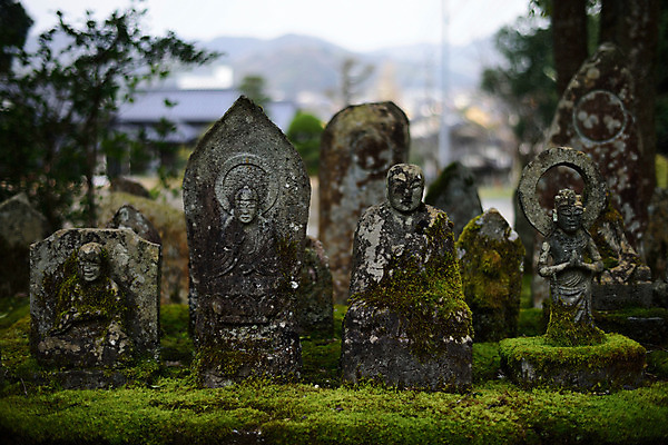 포토 JPG 주간 식물 종교 불교 자연 이끼 사람없음 야외 아웃포커스 일본 석상 국내포토 자연요소 아시아 촬영기법 생태계 파일형식