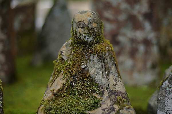 포토 JPG 주간 식물 종교 불교 자연 이끼 사람없음 야외 아웃포커스 일본 석상 국내포토 자연요소 아시아 촬영기법 생태계 파일형식