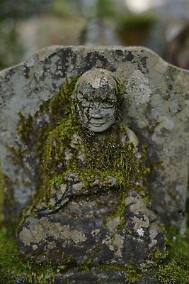 포토 JPG 주간 식물 종교 불교 자연 이끼 사람없음 야외 아웃포커스 일본 석상 국내포토 자연요소 아시아 촬영기법 생태계 파일형식