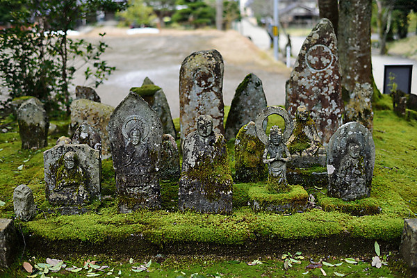 포토 JPG 주간 식물 종교 불교 자연 이끼 사람없음 야외 아웃포커스 일본 석상 국내포토 자연요소 아시아 촬영기법 생태계 파일형식